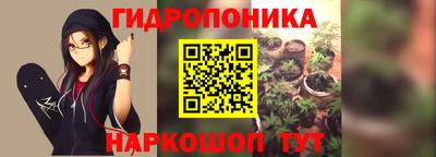 a pvp Гатчина