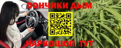 a pvp Гатчина