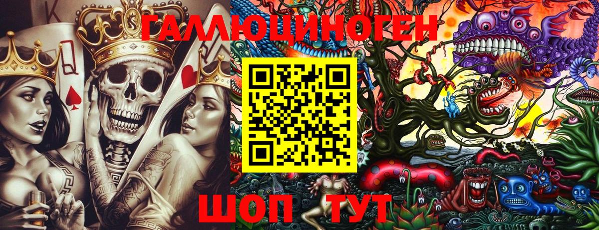 Псилоцибиновые грибы Psilocybe Ялта