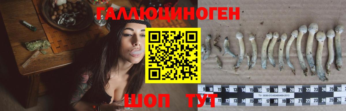 Галлюциногенные грибы Psilocybine cubensis Ялта