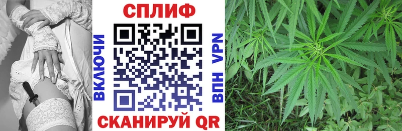 закладки  Ялта  Конопля план 